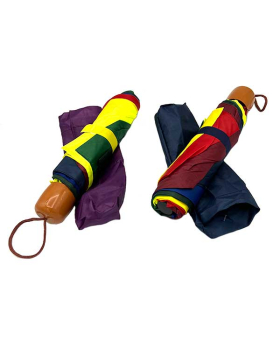 Small Rainbow Folding Umbrella