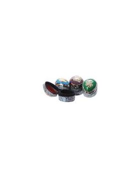 Assorted Sea Life Resin Gift Box