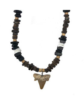 Multi Coco Real Shark Tooth Necklace