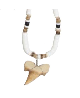 Clam Shell Wood Bead Synthetic Shark Tooth Necklace