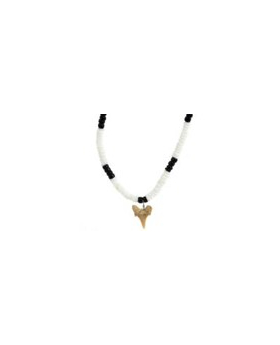 Black and White Shell Shark Tooth Necklace