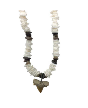 Shark Tooth Chip Shell Necklace