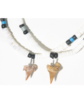 Assorted Shell Shark Tooth Necklace