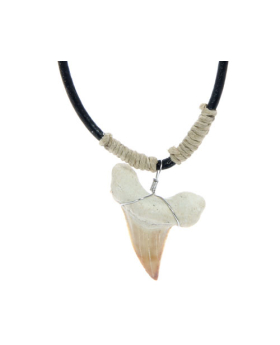 Black Cord Wrapped Hemp Shark Tooth Necklace