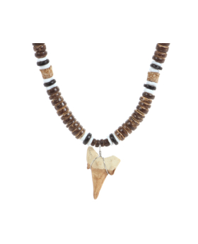Coco Combo Synthetic Shark Tooth Necklace