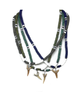 4 Assorted Shark Tooth Necklace