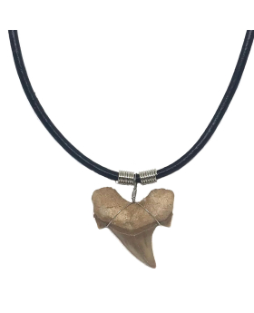LargeShark Tooth on black leather cord necklace