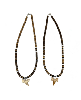 Shark Tooth Necklace 2 assorted