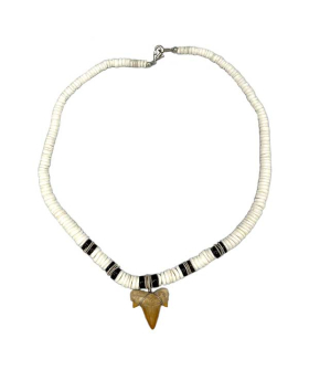 White and brown Shell 18" Shark Tooth Necklace
