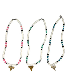 3 Assorted 18"Shark Tooth Necklace