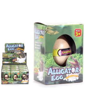 Hatch a Pet Alligator Egg