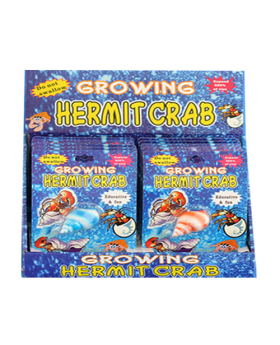 Grow a Hermit Crab