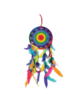 Rainbow Dreamcatcher w/ Colored Feathers