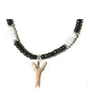 White Rose Puka Shark Tooth Necklace