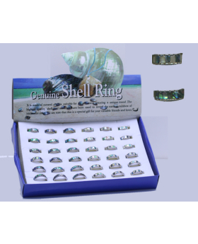 Paua MOP Square Shell Band Ring