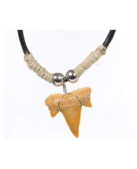 Straw Accent Shark Tooth Necklace