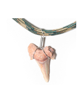 Assorted Shark Tooth Paracord Necklace