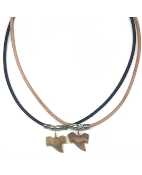 Shark tooth on leather cord necklace