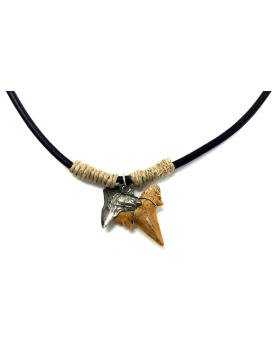 Shark Tooth with Silver shark tooth charm Necklace