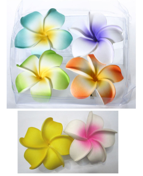 Assorted Flower Hair Clip