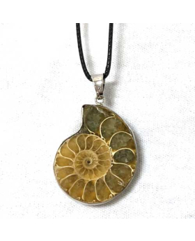 Ammonite Necklace
