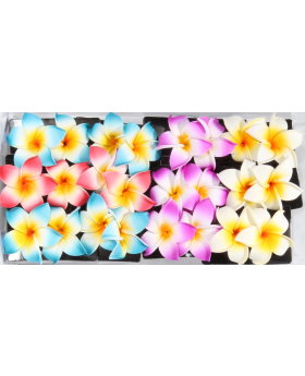 Hawaiian Flower Clip Set