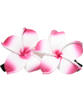 Hawaiian Flower Clip Set