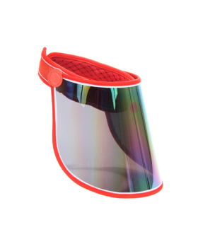 Assorted Face Visor