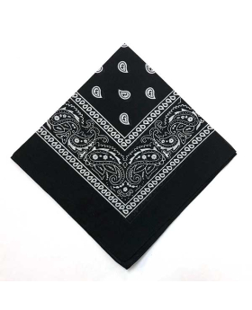 Paisley Bandana