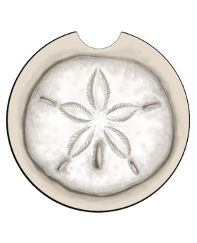Car Coaster - Sand Dollar