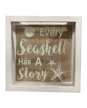 White Shell Display Box