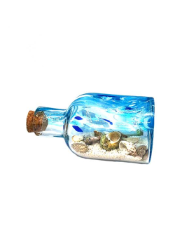 Glass Beach bottle with sand, shells and message