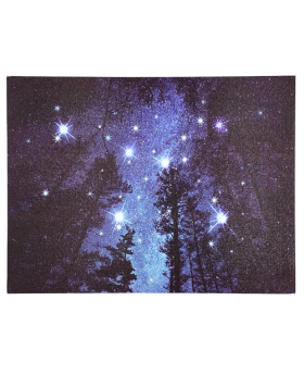 Special Price Forest Night Scene Canvas with 6 LED lights