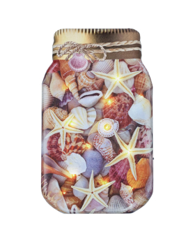 Special Price Jar of Shells on Canvas with 5 LED Lights
