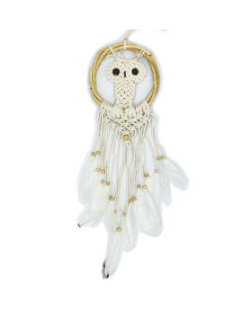 Owl rattan Dreamcatcher