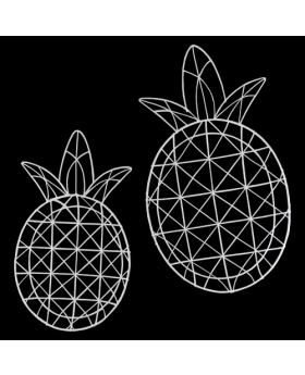 Special Price Set of 2 Wire Pineapple Trays