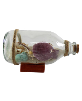 Sand and Shells in Bottle