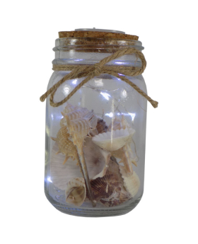 Special Price LED Lighted Bottle of Shells