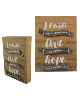 Special Price  Wood/Metal sign - Learn, Live, Hope