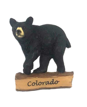 Closeout Resin Bear Magnet/Colorado