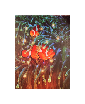 Special Price  Printed canvas Clown fish & Sea Anemone with 30 fiber optic lights