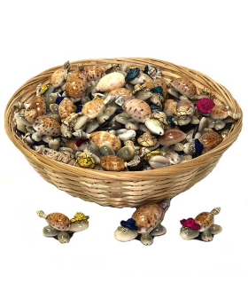 Turtle Caput Shell figurine with magnet
