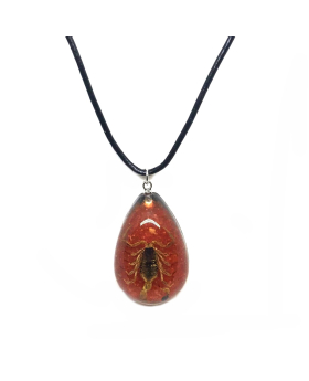 Scorpion in teardrop resin necklace