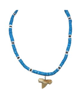 Blue Shell Shark Tooth Necklace