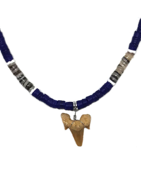 Blue Puka Shark Tooth Necklace