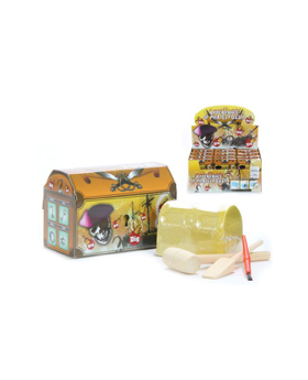 Pirate Fossil Dig Toy