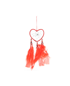 Assorted 2.75in Heart Dream Catcher