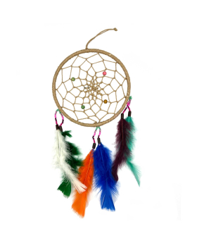 6 inch Hemp Dreamcatcher with assorted beads and feathers