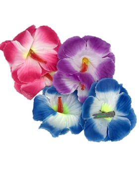 Assorted Hawaiian Flower Hair clip 2 pack Closeout