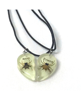 Asst Bugs Best Friend Necklace